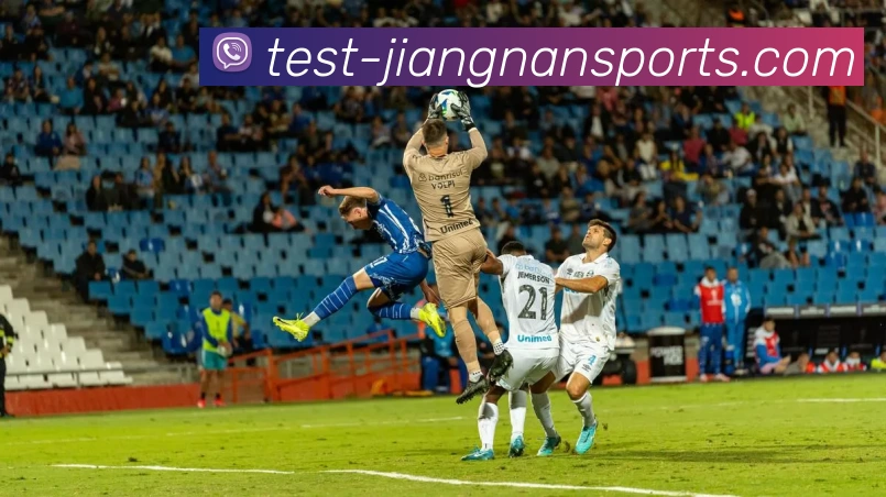 多媒体互动体验